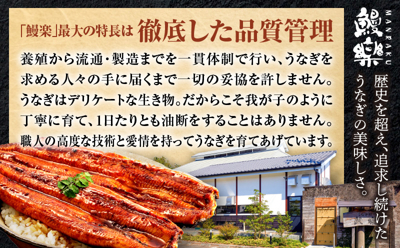 国産うなぎ蒲焼きざみ6袋（計300g）、うなぎ蒲焼きざみ（ごぼう入）6袋（計300g）合計600g_M040-005_01