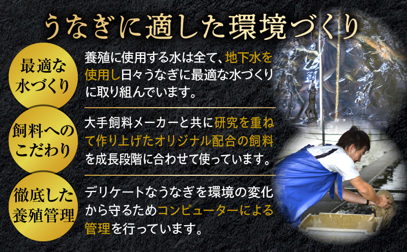 国産うなぎ蒲焼きざみ6袋（計300g）、うなぎ蒲焼きざみ（ごぼう入）6袋（計300g）合計600g_M040-005_01