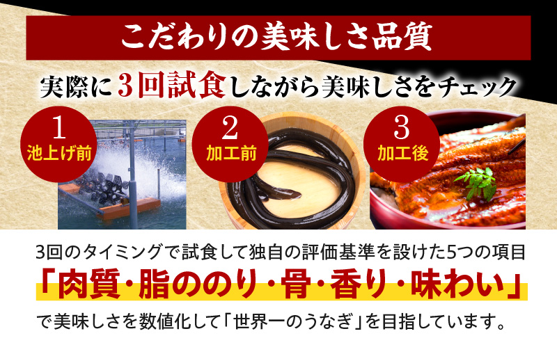 国産うなぎ蒲焼きざみ6袋（計300g）、うなぎ蒲焼きざみ（ごぼう入）6袋（計300g）合計600g_M040-005_01