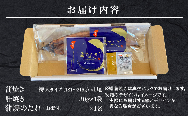 国産うなぎ 蒲焼き 特大サイズ(181～215g)・肝焼きセット_M069-015_01