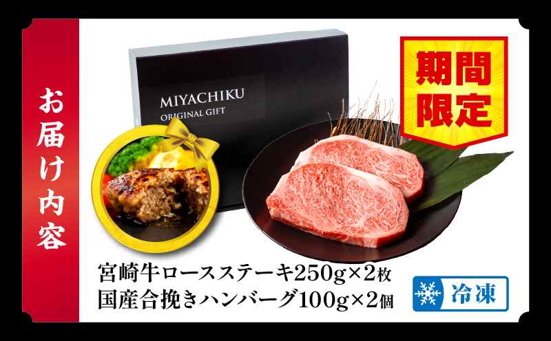 【期間・数量限定】宮崎牛ロースステーキ250g×2 合挽きハンバーグ100g×2個 合計700g_M132-014-B