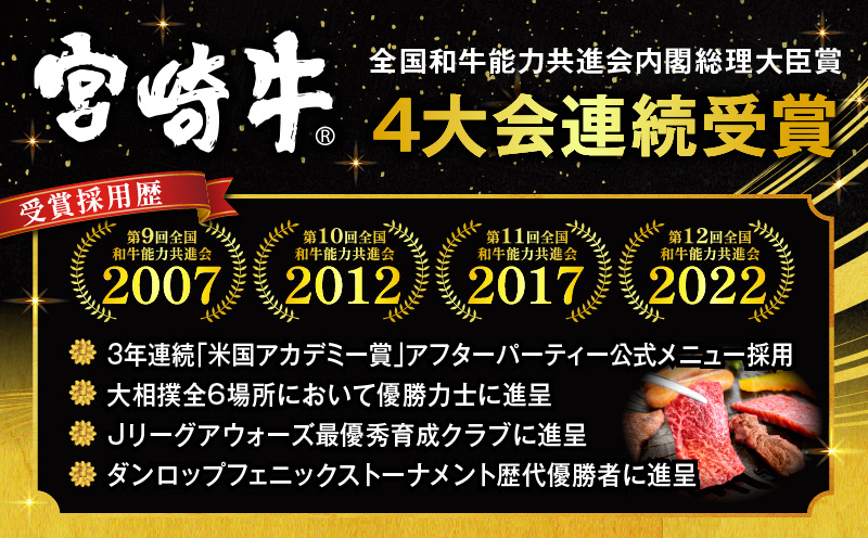 【期間限定】宮崎牛ウデ焼肉500g×2 宮崎県産黒毛和牛小間切れ100g×2 合計1.2kg_M132-022-01-UP