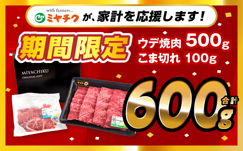 【期間限定】宮崎牛ウデ焼肉500g 宮崎県産黒毛和牛小間切れ100g 合計600g_M132-022-UP