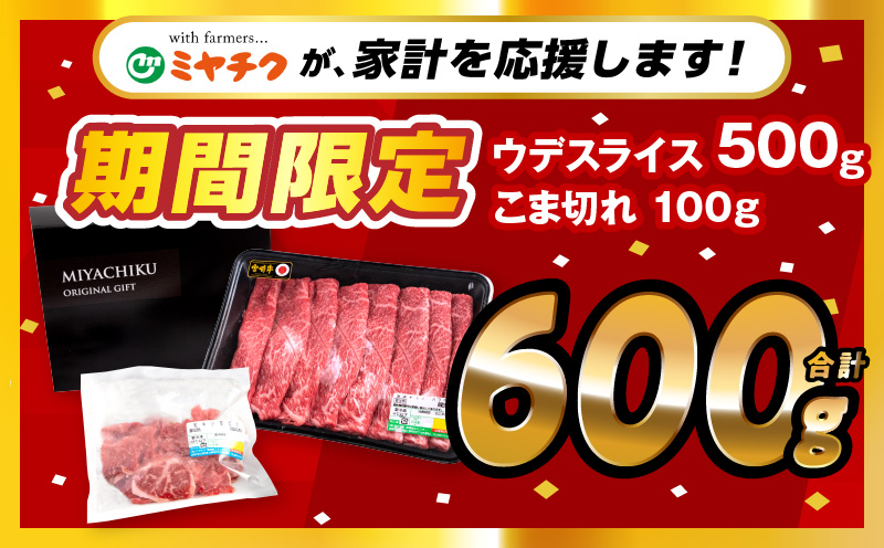 【期間限定】宮崎牛ウデスライス500g 宮崎県産黒毛和牛小間切れ100g 合計600g_M132-023-01-UP