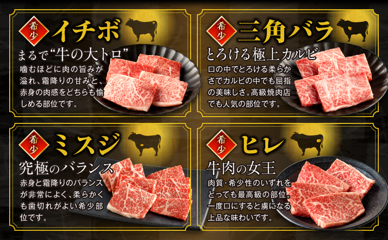 【期間限定】宮崎牛焼肉10種盛り合わせ+合挽きハンバーグ100g×2個_M132-067-B