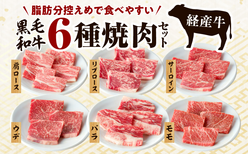 黒毛和牛（経産牛）6種焼肉セット300g × 2（計600g）_M132-078