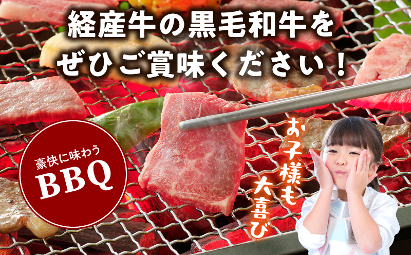 黒毛和牛（経産牛）6種焼肉セット300g × 2（計600g）_M132-078