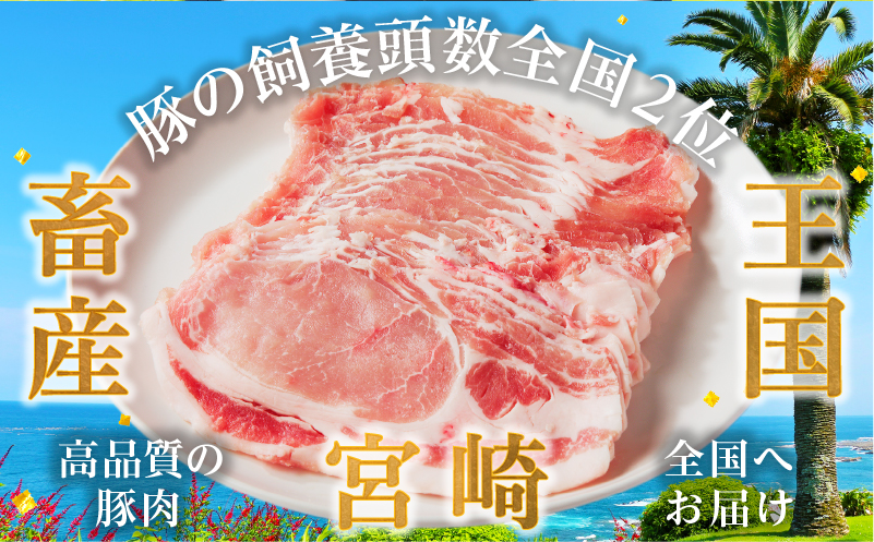 日高さんげの焼肉“倍”セット_M132-088