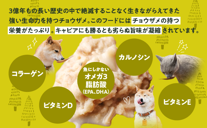 宮崎 -森のチョウザメ-sustainable PET FOOD _M133-006