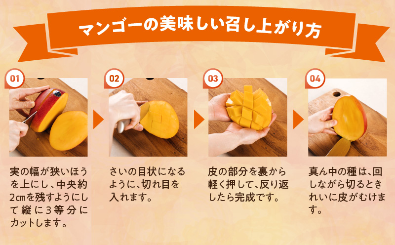 【期間・数量限定】おがたのマンゴー　完熟宮崎マンゴー　3Lサイズ（450～509g）×1個_M161-007_01