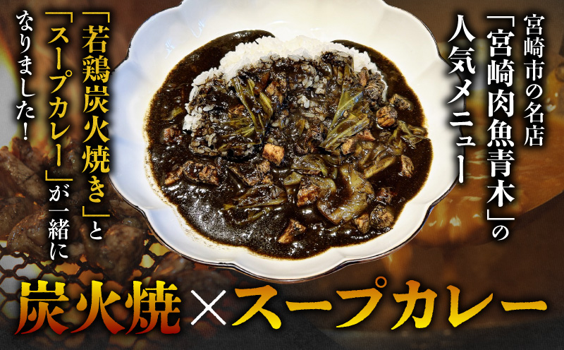 炭香る宮崎県産若どり炭火焼スープカレー【190g×10袋 計1.9kg】_M210-009