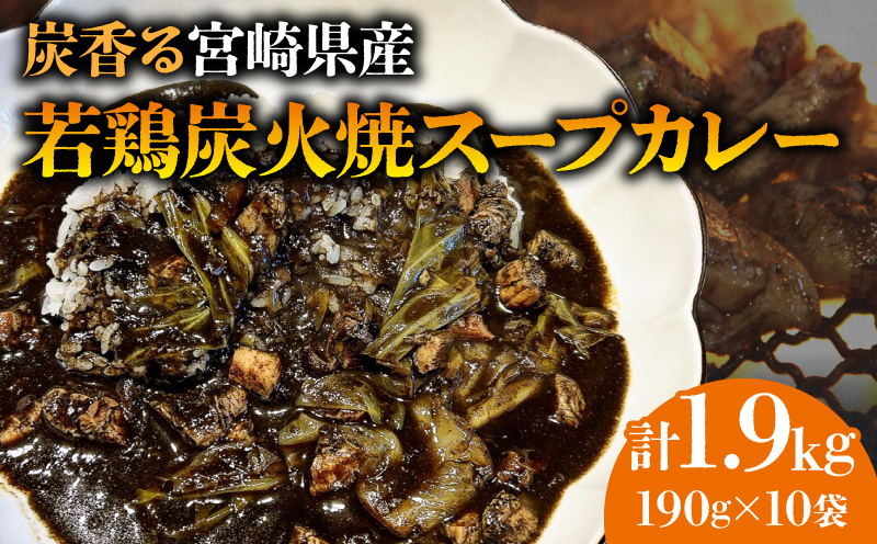 炭香る宮崎県産若どり炭火焼スープカレー【190g×10袋 計1.9kg】_M210-009