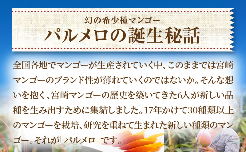 【先行予約】《2025年発送》期間・数量限定 宮崎県産 希少種マンゴー パルメロ 計 約1.0kg～1.2kg 2～3玉入り_M223-001