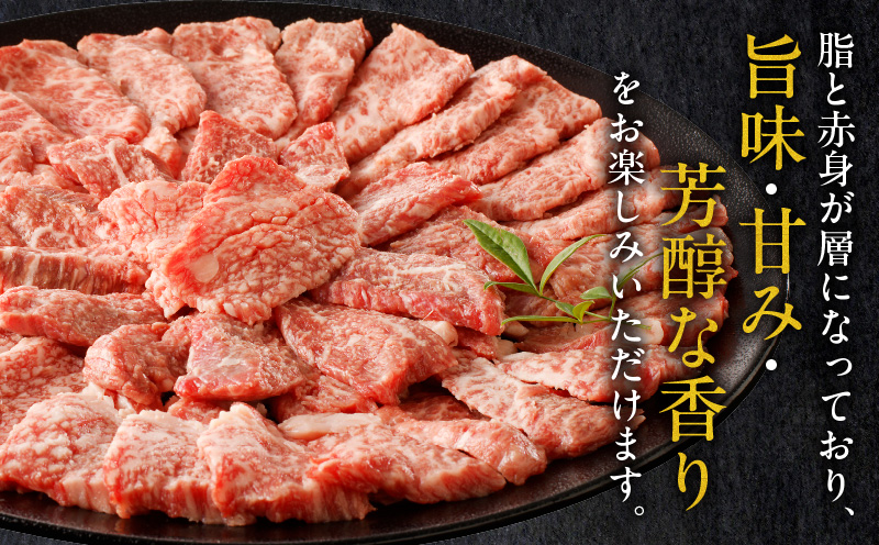 宮崎牛カルビ焼肉(500g)_M243-004