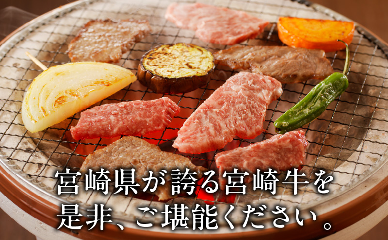 宮崎牛カルビ焼肉(500g)_M243-004