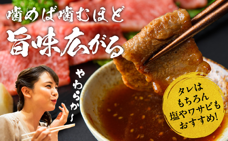 宮崎牛カルビ焼肉(500g)_M243-004