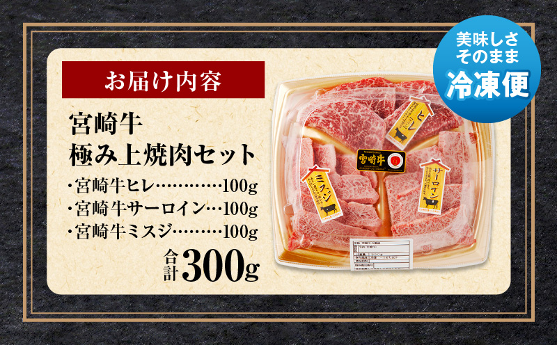 宮崎牛 極み上焼肉セット_M243-040