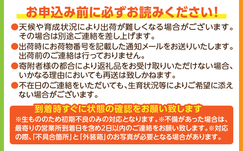 【ふるさと納税】【先行予約】いちご「やよいひめ」2粒～4粒　最低140g以上_M273-002