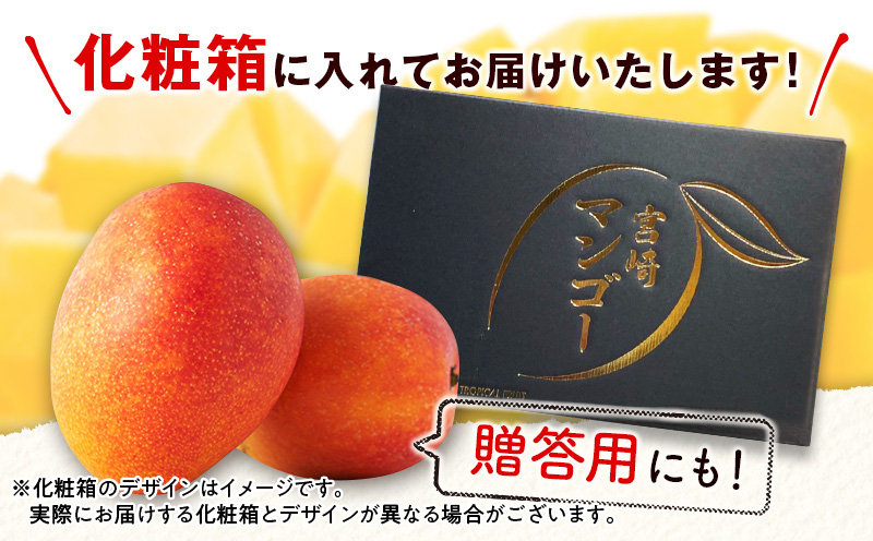 宮崎特産品　宮崎県産完熟マンゴー　3L×2個