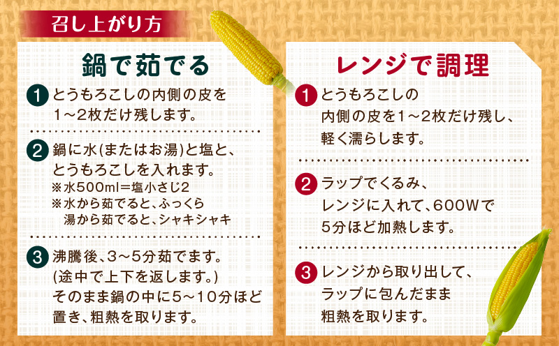 《2025年発送先行予約》宮崎市産朝どれスイートコーン（ゴールドラッシュ）約7kg_M320-001_01