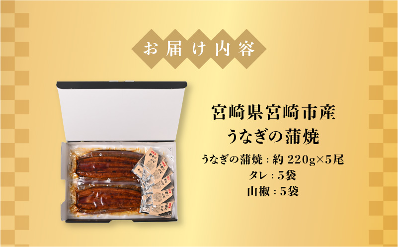 宮崎県宮崎市産　うなぎの蒲焼　約1.1kg（約220g×5尾）タレ・山椒セット_M325-012