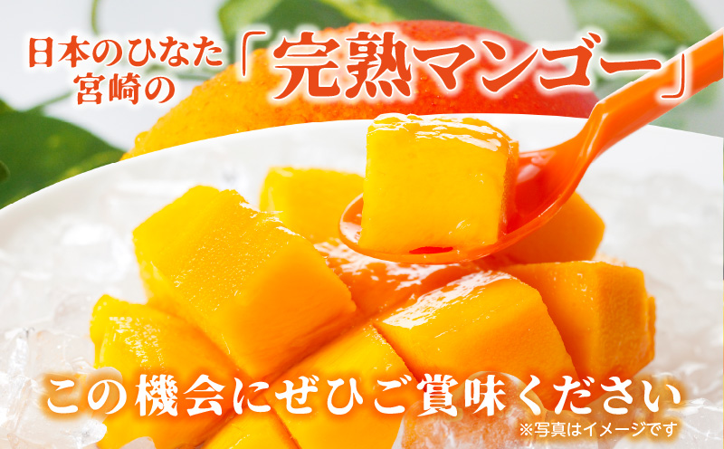 【期間限定】宮崎完熟マンゴー 約1kg L～2Lサイズ（3～4玉）_M338-001