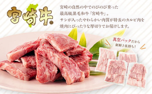 《2024年3月発送》宮崎牛 カルビ(バラ) 焼肉 250g×4パック 合計1kg_M241-006_01-mar