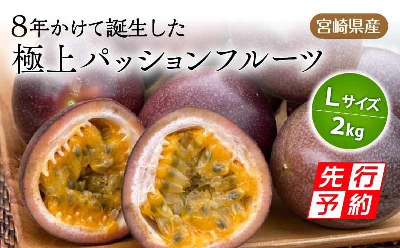 《2025年発送先行予約》【期間・数量限定】8年かけて誕生した宮崎県産極上パッションフルーツＬ　2kg_M057-005