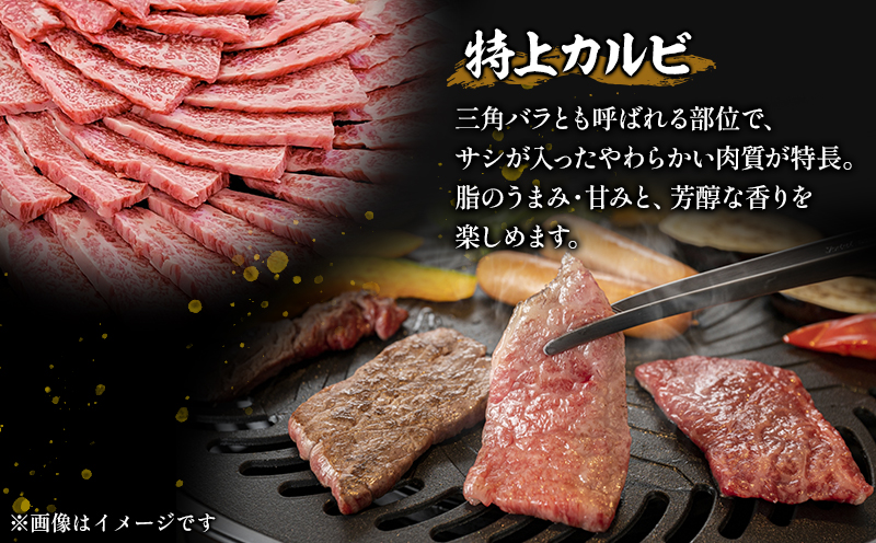 宮崎牛 特上カルビ (三角バラ) 焼肉用 150g×4パック 合計600g_M243-009_01