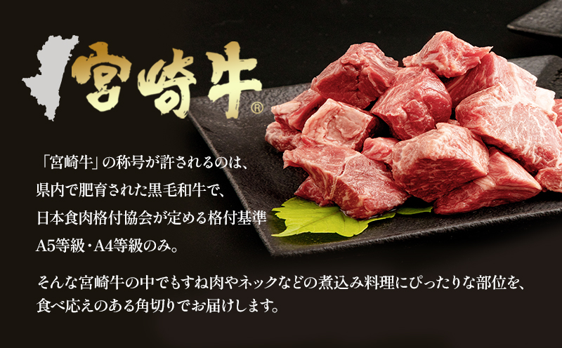 宮崎牛 カレーシチュー用 すね肉 ネック等 計1kg_M155-020