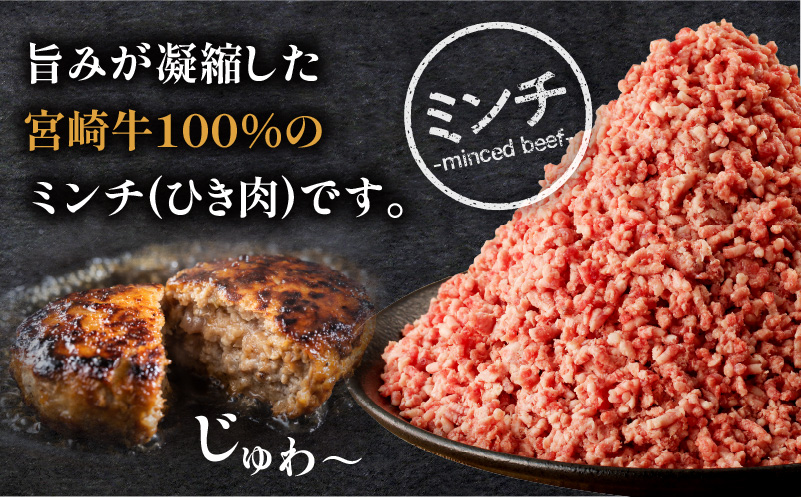 宮崎牛 サーロインステーキ & ハンバーグ用ミンチ セット 合計 1.1kg_M243-034