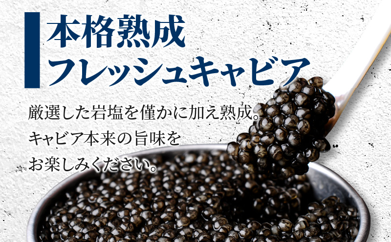 【訳あり】宮崎県産キャビア 詰め合わせ 合計200g_M017-051