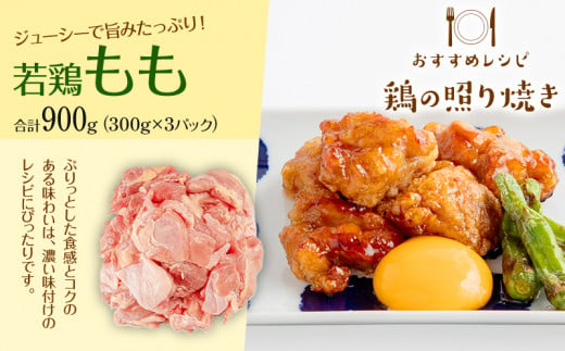 宮崎県産 若鶏 もも・むね 切り身 小分けパック 合計3.3kg_M241-004