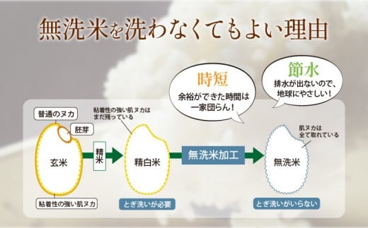 定期便 宮崎産 ヒノヒカリ ブレンド 無洗米 15kg (5kg×3個) ×隔月6回 計90kg (偶数月)_M181-T002_01