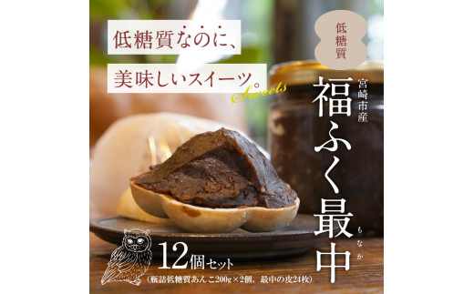 宮崎市産　低糖質福ふく最中12個セット（瓶入りあんこ200g×2個・最中の皮×24枚）_M171-002_01