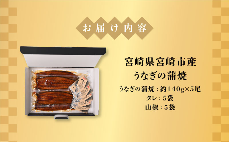 宮崎県宮崎市産　うなぎの蒲焼　約700g（約140g×5尾）タレ・山椒セット_M325-004