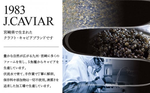 1983 J.CAVIAR バエリ プレミアム 30g ジャパンキャビア_M017-011_02