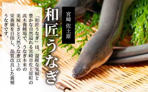 宮崎市佐土原産 備長炭手焼き 和匠うな丼の素10袋入り(計1kg) 山椒付き_M080-002_01