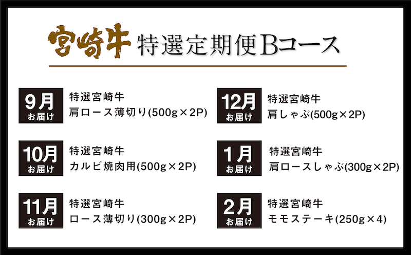 《期間・数量限定》 特選! 宮崎牛 定期便 Bコース 《2024年3月から毎月お届け!》 全12回_M153-T018