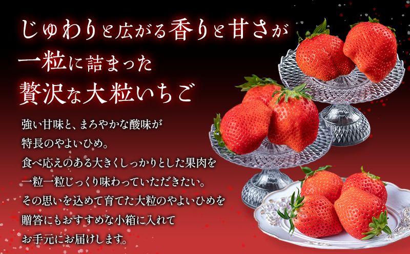 【ふるさと納税】【先行予約】いちご「やよいひめ」2粒～4粒　最低140g以上_M273-002