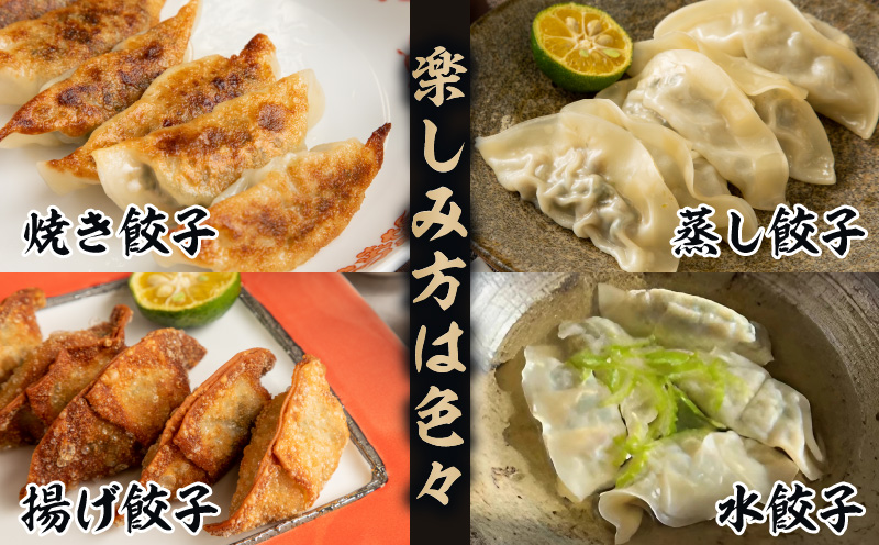 【定期便 全12回お届け】金豚餃子セット（香港餃子・しそ餃子・にら餃子　1パック10個入×各2パック）_M166-T002-12