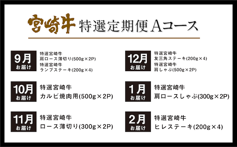 《期間・数量限定》 特選! 宮崎牛 定期便 Aコース 《2024年3月から毎月お届け!》 全12回_M153-T017