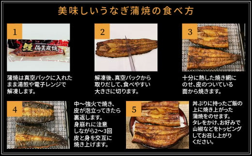 蒲焼き 国産 備長炭手焼き 和匠うなぎの蒲焼き 2尾セット (たれ・山椒付き)_M080-004_01