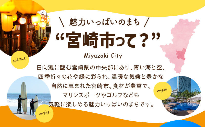 宮崎県宮崎市の対象ツアーに使えるHISふるさと納税クーポン 寄附額20000円_M294-HIS002