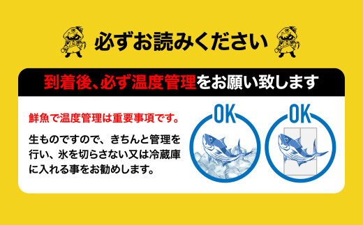 《津本式》へべすぶり 2尾 ～津本光弘本人仕立て～_M135-008_01