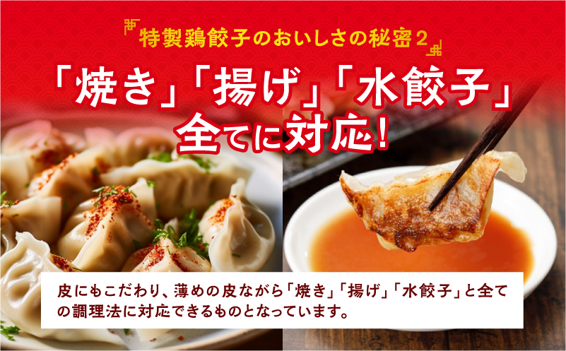 悠瑠里特製餃子60個&鶏餃子60個 食べ比べセット_M293-006