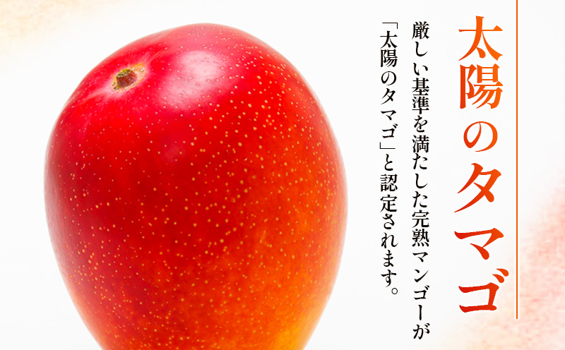 宮崎特産品　宮崎県産完熟マンゴー　太陽のタマゴ　2L×1個