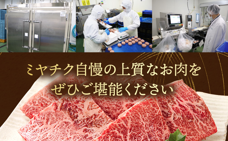 【期間限定】宮崎牛焼肉10種盛り合わせ+合挽きハンバーグ100g×2個_M132-067-B