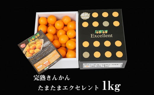 《2025年発送先行予約》【期間・数量限定】完熟きんかん たまたまエクセレント 1kg_M056-012