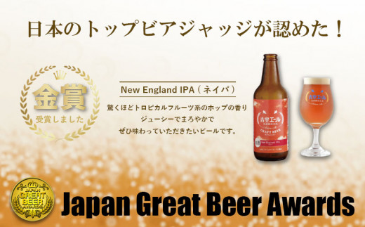 青空エールこだわりのクラフトビール飲み比べ詰め合わせセット〈フルーツビール入り〉6種6本（330ml 瓶×3本、500mlペットボトル×3本）_M170-003_12